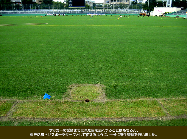 サッカーの試合までに見た目を良くすることはもちろん、根を活着させスポーツターフとして使えるように、十分に養生管理を行いました。