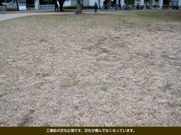 工事前の芝生広場です。芝生が傷んでなくなっています。