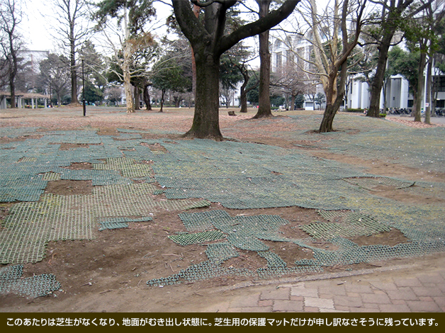 このあたりは芝生がなくなり、地面がむき出し状態に。芝生用の保護マットだけが申し訳なさそうに残っています。