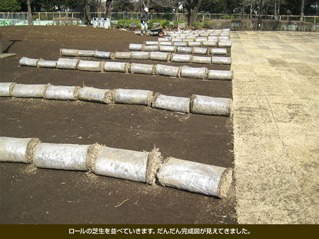 ロールの芝生を並べていきます。だんだん完成図が見えてきました。