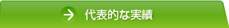 代表的な実績