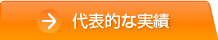 代表的な実績