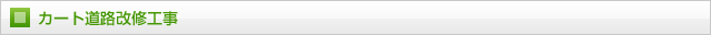 カート道路改修工事
