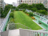 F小学校（東京都）