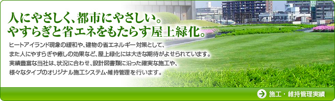 人にやさしく、都市にやさしい。やすらぎと省エネをもたらす屋上緑化。