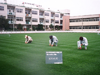 除草