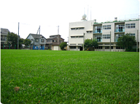 芝小学校（埼玉県川口市）