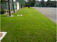 立野小学校（東京都練馬区）