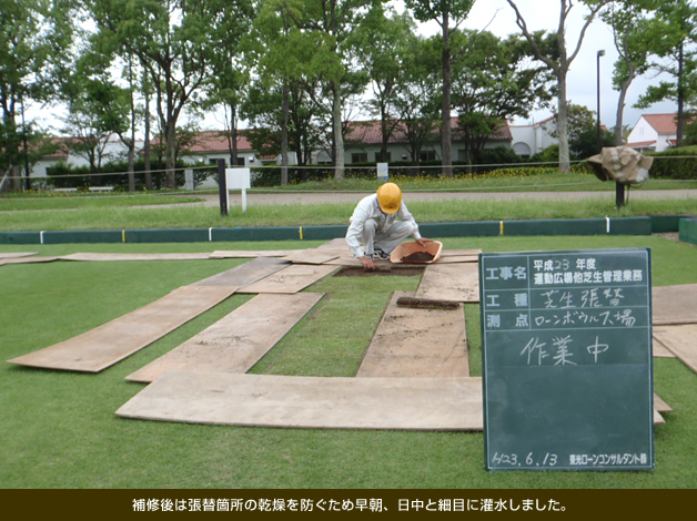 補修後は張替箇所の乾燥を防ぐため早朝、日中と細目に灌水しました。