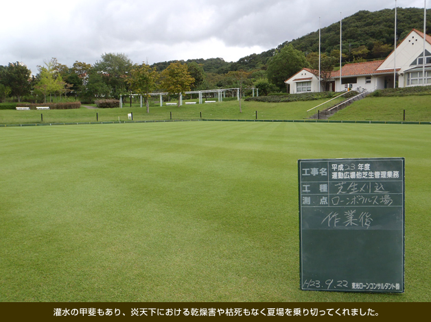 灌水の甲斐もあり、炎天下における乾燥害や枯死もなく夏場を乗り切ってくれました。