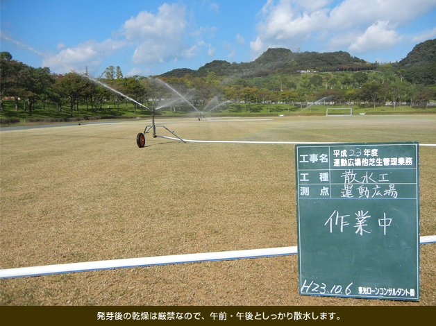 発芽後の乾燥は厳禁なので、午前・午後としっかり散水します。