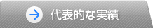 代表的な実績