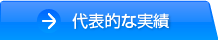 代表的な実績